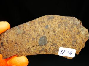 NWA 8324 (32.56 gram)