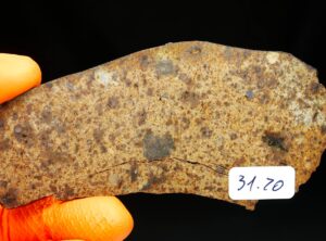 NWA 8324 (31.20 gram)