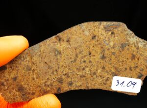 NWA 8324 (31.09 gram)