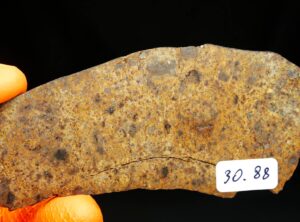 NWA 8324 (30.88 gram)