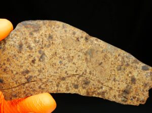 NWA 8324 (31.33 gram)