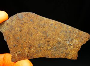 NWA 8324 (21.84 gram)