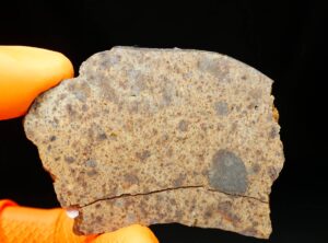 NWA 8324 (19.86 gram)