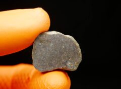 LAAYOUNE 002 (4.62 gram) endpiece