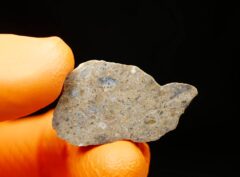 LAAYOUNE 002 (4.87 gram) endpiece