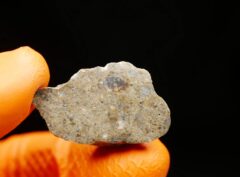 LAAYOUNE 002 (5.83 gram) endpiece