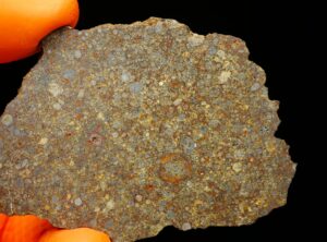 NWA 10297 (17.48 gram)