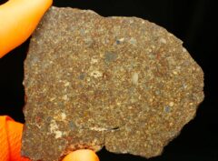 NWA 10297 (47.49 gram)