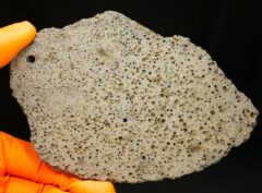 JIKHARRA 001 (50.44 gram) MEGA BUBBLES