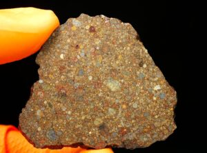 NWA 10296 (19.10 gram)