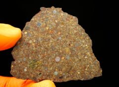 NWA 10296 (13.54 gram)