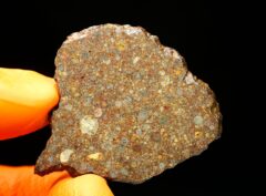 NWA 10296 (9.94 gram)