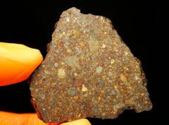 NWA 10296 (16.89 gram)