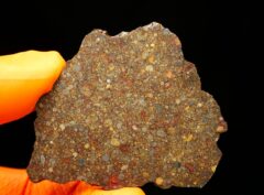 NWA 10296 (12.50 gram)