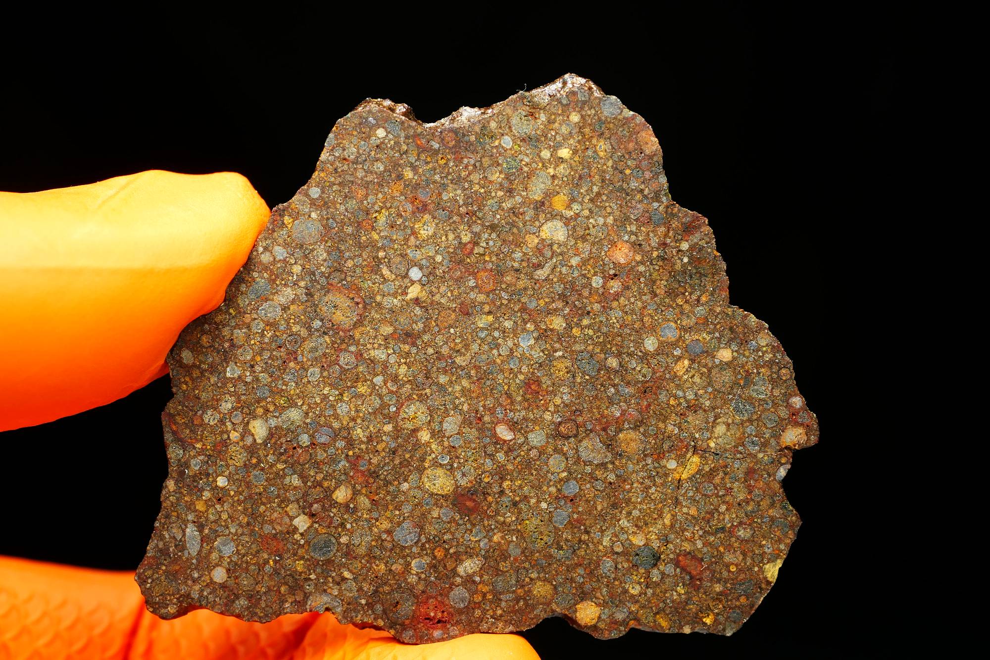 NWA 10296 (12.50 gram)