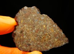 NWA 10296 (12.96 gram)