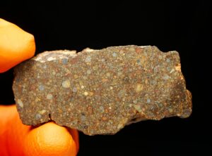 NWA 10296 (27.16 gram) endpiece