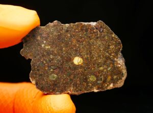 NWA 10296 (27.31 gram) endpiece
