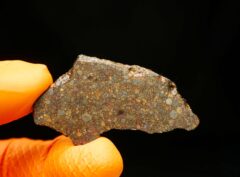 NWA 10296 (5.20 gram)