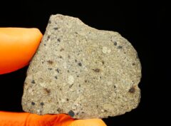 NWA 17693 (12.94 gram)