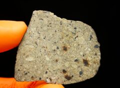 NWA 17693 (11.80 gram)