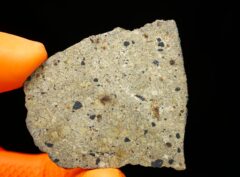 NWA 17693 (10.97 gram)