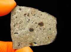 NWA 17693 (13.13 gram)