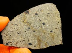 NWA 17693 (21.62 gram)