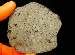 NWA 17693 (43.67 gram)