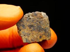 NWA 16846 (13.25 gram)