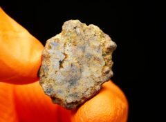 NWA 16846 (9.10 gram)