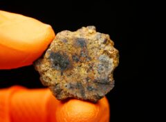 NWA 16846 (12.45 gram)
