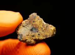 NWA 16846 (10.00 gram)
