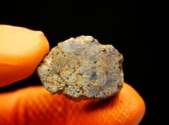 NWA 16846 (9.35 gram)