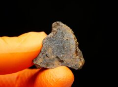 NWA 16846 (6.61 gram)