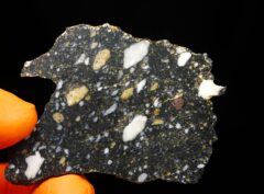 AJDABIYA 007 (7.37 gram)