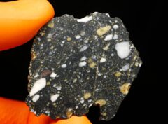 AJDABIYA 007 (6.37 gram)