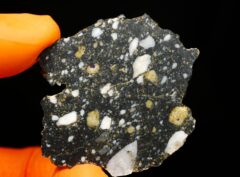 AJDABIYA 007 (6.81 gram)