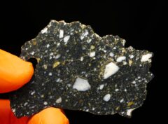 AJDABIYA 007 (6.84 gram)