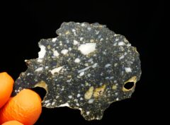 AJDABIYA 007 (4.81 gram)