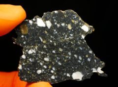 AJDABIYA 007 (6.90 gram)