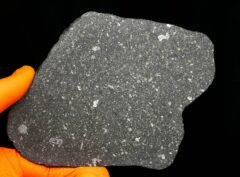 ALLENDE (194.4 gram) full slice E. King collection