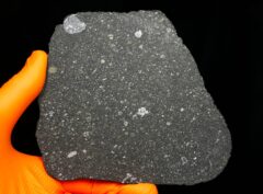 ALLENDE (170.23 gram) full slice E. King collection